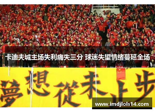 卡迪夫城主场失利痛失三分 球迷失望情绪蔓延全场