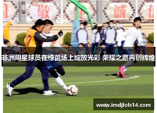 非洲明星球员在绿茵场上绽放光彩 荣耀之路再创辉煌