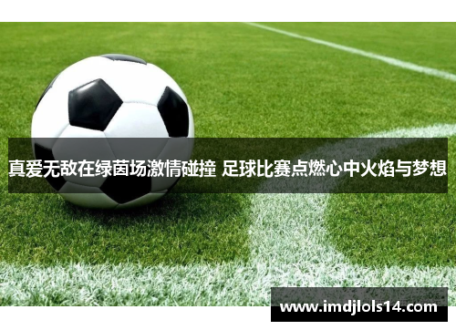 真爱无敌在绿茵场激情碰撞 足球比赛点燃心中火焰与梦想