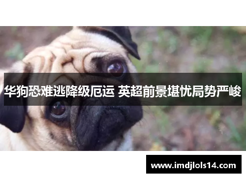 华狗恐难逃降级厄运 英超前景堪忧局势严峻