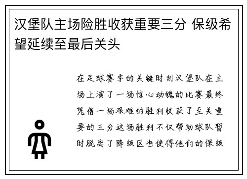 汉堡队主场险胜收获重要三分 保级希望延续至最后关头