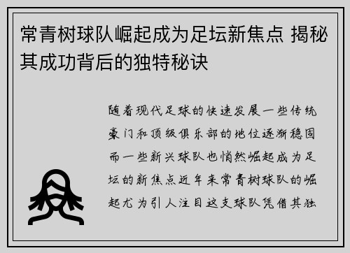 常青树球队崛起成为足坛新焦点 揭秘其成功背后的独特秘诀